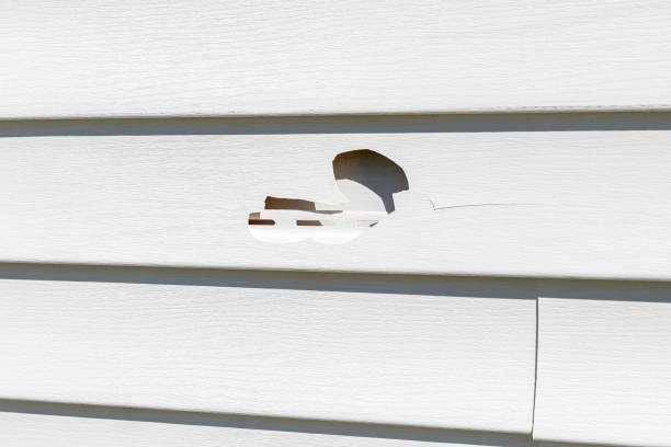 Best Construction Debris Removal  in Phoenix, OR
